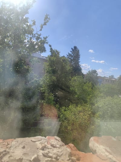 The image depicts a view from a high vantage point, looking out over a dense canopy of trees towards buildings. In the foreground, a textured, reddish-brown brick structure occupies the bottom portion of the frame, appearing weathered and partially crumbling. Beyond this, a profusion of green foliage dominates the midground, with various trees and bushes obscuring much of the view. Sunlight filters through the leaves, creating bright highlights and casting shadows. In the background, several multi-story buildings are visible, constructed with light-colored brickwork. One building has a visible sign with Cyrillic lettering, part of which reads "ДНИАТЫ!". The sky above is a clear blue, with scattered white clouds. The scene appears to be an outdoor urban or semi-urban environment, likely taken from a rooftop or an upper floor window in Teykovo, Russia, given the context. There are no people or animals visible in the frame.