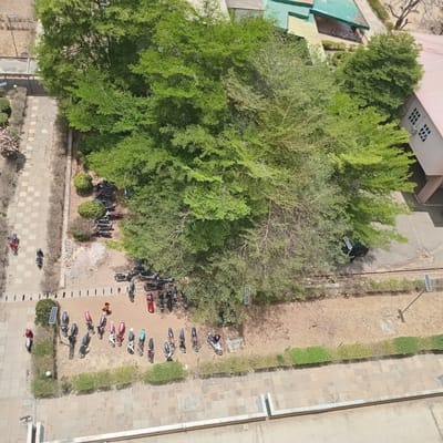 The image presents an aerial view of an outdoor area. In the foreground and center, there's a large, leafy tree providing substantial shade. Underneath and to the side of the tree, numerous motorcycles are parked haphazardly on a dirt or gravel surface. Adjacent to the motorcycles is a paved walkway with a tiled pattern, lined by low bushes. In the background, buildings with roofing of varying colors (green, red) are visible. A few people are scattered around the scene, seemingly walking or standing near the parked motorcycles. The overall environment suggests a university campus or similar institutional setting. The image is taken in Jama A, Nigeria.