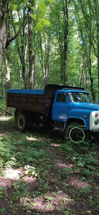 The image shows a parked blue truck with a brown dump bed in a wooded area. The truck is positioned on a dirt path surrounded by lush green foliage and trees. The sunlight filters through the leaves, creating dappled shadows on the ground. The truck appears to be old and somewhat weathered, with visible rust on the dump bed. The scene suggests the truck is either abandoned or being used in a rural or off-road setting. No people are visible in the image. The location is identified as Lisovi Hrynivtsi, Ukraine.