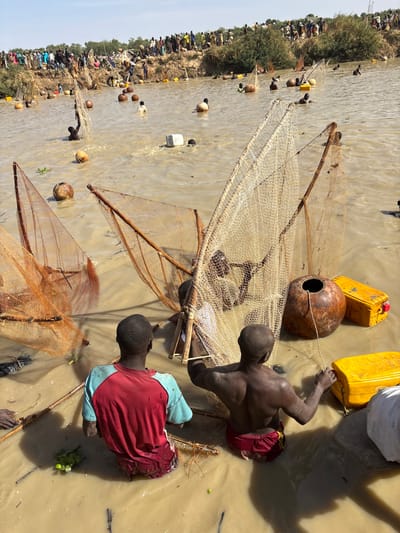 This image depicts a large-scale communal fishing event in a muddy river in Kokani North, Nigeria, under a clear, bright sky.

In the foreground, two adult males are partially submerged in the brown, murky water, viewed from behind. The man on the left wears a red and light blue t-shirt. The man on the right is shirtless, displaying developed back musculature, wearing dark red shorts, and actively manipulating a rope attached to an object in the water. Surrounding them are several large, conical fishing nets with wooden frames; two prominent ones in the immediate foreground are amber and beige-colored. A large, spherical, reddish-brown earthen pot or gourd with an opening is partially submerged near the shirtless man, also with a rope extending from it. Two yellow plastic jerrycans or containers are visible in the water near him. Sparse green aquatic vegetation is present in the foreground water.

In the midground and background, numerous other individuals are partially submerged in the water, many engaged in similar fishing activities with additional conical nets and large spherical floats. Several white rectangular containers and dark spherical objects are also visible floating in the water. An elevated earthen bank, sparsely covered with green vegetation, forms the background. A large crowd of people, estimated to be over one hundred individuals, is gathered on this bank, observing the activity. They are dressed in various colored clothing. The scene is illuminated by strong daylight, casting distinct shadows.