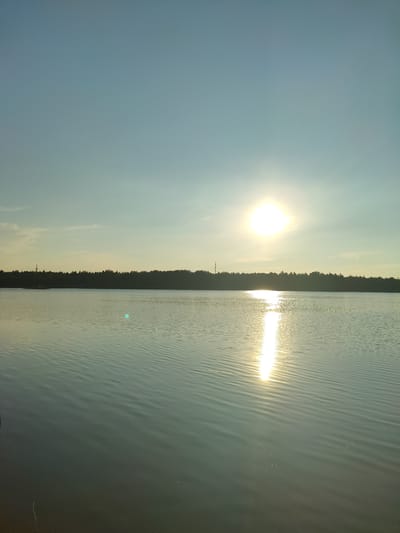 The image depicts a serene natural landscape at sunset, likely near the city of Vysokii, Russia. The scene is dominated by a vast body of water, possibly a lake, with gentle ripples reflecting the warm glow of the setting sun. The sun, a bright, luminous orb, is positioned in the upper right quadrant of the sky, casting a shimmering path of light across the water's surface. In the distance, a dark, silhouetted treeline forms the horizon, punctuated by the faint outline of a tower or pylon. The sky above is a gradient of soft blues and yellows, with wispy clouds adding subtle texture. The foreground shows the edge of the water with a few dry reeds or twigs visible. There are no people or human activity evident in the image, emphasizing the tranquility of the natural environment. The overall impression is one of peaceful solitude and the beauty of an evening in a rural or natural setting.