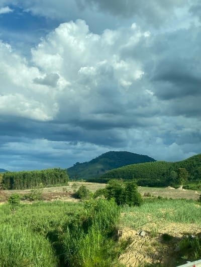 The image shows a landscape under a dramatic sky, likely in Thôn 18, Vietnam. The sky is filled with a mix of bright, fluffy cumulus clouds against patches of clear blue, and darker, more ominous storm clouds.

The terrain consists of rolling hills covered in lush green vegetation. The foreground is dominated by tall, dense green grasses and some scattered bushes. Further back, there is a band of trees, appearing to be a plantation of tall, slender trees, possibly eucalyptus or bamboo. Beyond that, the hills rise, one prominent hill in the mid-ground is conical and covered in dense green foliage. Another hill to the right is terraced and also covered in green growth. In some areas, patches of cleared or less vegetated land are visible, suggesting agricultural activity or land management.

The overall impression is one of a rural, natural environment with dynamic weather conditions. There are no people or animals visible in the image. The scene is serene yet powerful due to the contrasting elements of the sky and the land.