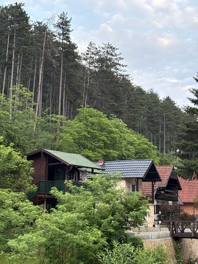 This image depicts a mountainous landscape in the Vrnjacka Banja Municipality, Serbia, characterized by dense forestation and residential structures. The upper two-thirds of the scene are dominated by a steep hillside covered in a uniform, dense stand of tall, slender coniferous trees, primarily pines, extending horizontally across the frame. A single dead or dying coniferous tree with sparse, gnarled branches is visible in the upper central portion of this forest. Above the treeline, a light blue sky with scattered white and light grey cumulus clouds is present.
Below the coniferous forest, a thick band of vibrant green deciduous foliage forms a transitional layer before the houses. In the lower third of the image, several houses are situated amidst the greenery. The leftmost structure is a two-story log cabin with dark brown wooden walls and a prominent green shingled gable roof. It features a visible balcony with dark green railings on the upper level, and parts of its lower section are obscured by dense bushes. To the right of the log cabin, two additional houses are partially visible. The first has a light-colored facade, a dark grey or black shingled roof with a pronounced A-frame, and a small balcony. The second house, further to the right, has a terracotta-colored tiled roof and an orange-brown facade. A wooden pedestrian bridge with railings is visible on the far right, spanning a gap, likely over a small ravine or stream, leading towards the reddish-brown tiled roof. Below the houses, a combination of stone and concrete retaining walls is apparent. No individuals are visible in the scene. The overall lighting suggests an overcast or partly cloudy daytime environment.