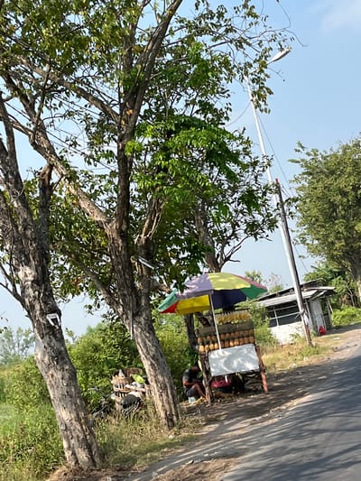 In Gempolsari, Indonesia, a roadside stall is set up under the shade of two large trees. The stall features a colorful umbrella and displays a selection of pineapples. A person is seated on a stool next to the stall. Nearby, a motorcycle is parked and loaded with baskets. The background shows lush vegetation and a small building with a corrugated roof. A street lamp stands tall by the side of the road, indicating the scene is likely on a public thoroughfare.