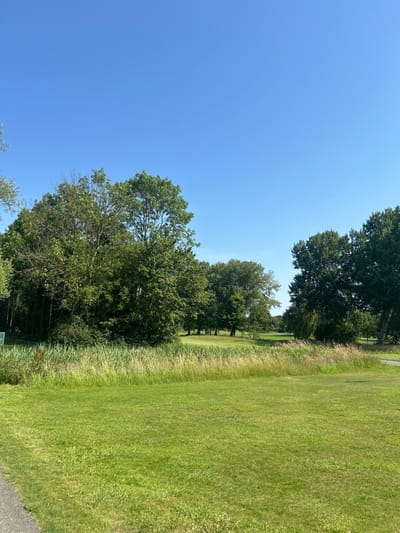 The image depicts a vast, manicured green lawn, characteristic of a golf course, bathed in bright sunlight under a clear blue sky. The foreground is dominated by the lush, short-cropped grass, bordered by a path made of asphalt on the left. Further back, a dense line of tall, reedy grass and shrubs separates the lawn from a cluster of mature deciduous trees. Beyond the trees, the gentle undulation of the golf course fairway is visible, with more trees and patches of grass extending towards the horizon. A single paved path or cart track curves into the distance on the right side of the image. The scene appears tranquil and serene, evoking a sense of an open, well-maintained outdoor recreational area within the city of Wassenaar, Netherlands. No people or specific structures, other than the golf course infrastructure and the path, are discernible in the frame. The overall impression is one of a peaceful, summery day in a park-like setting.