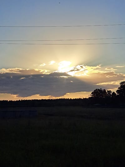 The image depicts a sunset scene in the city of Chernetsk, Russia. The sky is a gradient of blue and yellow, with the sun partially obscured by clouds. Sunbeams are visible radiating from behind the clouds. There are three power lines running horizontally across the upper portion of the frame. Below the sky, a silhouetted treeline forms the horizon, with some denser trees on the right side. In the foreground, a dark, grassy field stretches across the bottom of the image, with a faint, rectangular structure visible in the lower left corner. The overall impression is one of a serene natural landscape at dusk.