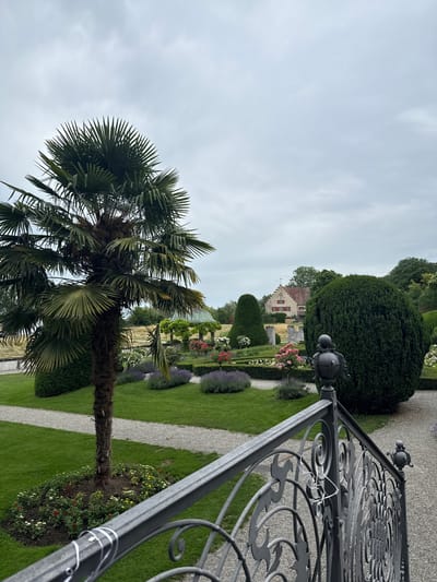 This image captures a serene garden scene, likely within the grounds of the Seeburg Castle in Kreuzlingen, Switzerland, given its distinctive architecture and landscaping. In the foreground, a decorative wrought-iron railing with intricate scrollwork runs diagonally across the frame, casting a shadow on a gravel path. To the left, a mature palm tree stands prominently in a circular flowerbed bursting with small red, yellow, and white blooms. Beyond the palm, a meticulously manicured lawn stretches towards a series of garden beds featuring lavender bushes and flowering roses in various shades of pink and red. A conical topiaried bush and a large, rounded evergreen hedge frame the central garden area. In the background, the red-roofed Seeburg Castle, characterized by its white facade and red shutters, is visible amidst lush green trees. The sky is overcast, contributing to the subdued and tranquil atmosphere of the scene. No people are present in the image.