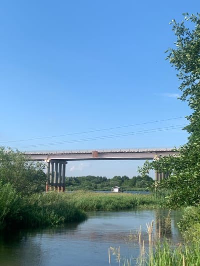 A wide, calm river flows through a verdant landscape under a clear blue sky. On the left bank, lush green foliage and tall grasses line the water's edge. In the distance, a long, elevated bridge stretches across the river, supported by multiple large pillars. A small, white houseboat is visible on the river, closer to the far bank, nestled amongst reeds. Trees form a dense green line along the horizon. The overall scene depicts a serene, natural environment with man-made structures integrated into the landscape.