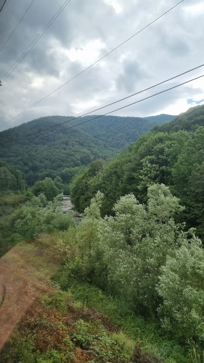 A scenic view of a lush green valley in Zhornava, Ukraine, is captured under a cloudy sky. The foreground features a dirt path on the left, bordered by dense vegetation and trees. A river flows through the center of the valley, flanked by more trees on either side. In the background, rolling hills covered in dense forest rise towards the overcast sky. Power lines are visible stretching across the top of the frame, indicating the presence of human infrastructure within this natural landscape.