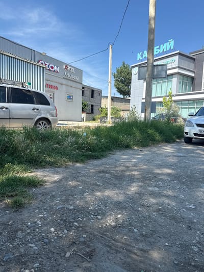 The image captures a street scene in Kizlyar, Russia, under a clear blue sky with scattered clouds. In the foreground, a gravel and dirt path is visible, with patches of tall green grass growing along the side. A silver station wagon is parked on the right side of the path.
In the mid-ground, a modern two-story building with a gray facade and large windows is prominent. It features a prominent blue sign with Cyrillic lettering that reads "КАМЫШ" (Kamysh). Adjacent to this building is another structure with a corrugated metal exterior. This building displays signs that include "OZON" and "АНАЛИЗЫ" (Analizy), indicating commercial establishments. A silver minivan is parked near this building.
Further in the background, parts of other buildings, including one under construction made of cinder blocks, are visible, along with trees and utility poles. The overall impression is of a mixed commercial and possibly residential area on a sunny day.