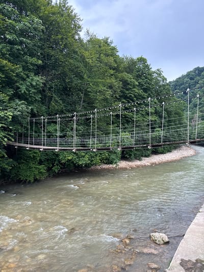 This media file depicts a footbridge spanning a river in a lush, green, mountainous environment. The bridge is made of metal and has a walkway with railings. It is lined with evenly spaced lights, suggesting it might be used at night. The river is flowing, with visible rocks and small rapids. The surrounding landscape is dominated by dense, green trees that cover the hillsides. The sky is overcast, indicating a cloudy or possibly rainy day. The image appears to have been taken from an elevated position, looking down at the bridge and river. There is no visible text in the image. The overall mood is serene and natural. The location context provided is Guamka, Russia.