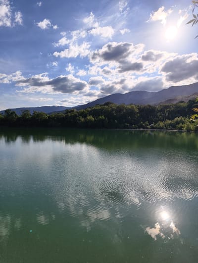A scenic view captures a tranquil lake in Kiparisnoe, Ukraine. The water, a serene shade of green, reflects the sky and the surrounding landscape. Gentle ripples disturb the surface, creating a mesmerizing pattern of light and shadow. In the background, a dense line of lush green trees forms a vibrant border, separating the water from the distant, hazy mountains. The mountains, layered in shades of blue and purple, recede into the horizon, creating a sense of depth and vastness.

The sky above is a brilliant blue, dotted with fluffy white clouds. The sun, a bright orb in the upper right corner, casts a warm glow, illuminating the scene and creating a shimmering reflection on the water. The presence of sunlight suggests it's daytime, likely late afternoon given the angle of the sun and the soft, diffused light. The overall atmosphere is peaceful and idyllic, evoking a sense of calm and natural beauty. There are no visible people or man-made objects that stand out, emphasizing the untouched, natural character of the location. The image is a still photograph, capturing a moment of serene natural splendor.