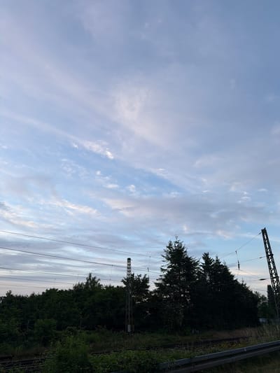 The image shows a section of railway tracks in Magdeburg, Germany, under a sky filled with wispy clouds. The tracks run horizontally across the lower part of the frame, bordered by lush green vegetation on the left and right. A dense line of dark green trees forms a backdrop behind the tracks, with several tall, dark green conifer trees standing out prominently. Overhead, a network of power lines stretches across the scene, supported by industrial-style metal poles. One such pole, with a number "60" visible on it, is positioned on the right side of the image. The sky above is a soft blue, streaked with lighter, more translucent clouds, suggesting either dawn or dusk. The overall scene depicts a typical infrastructure landscape, harmoniously integrated with nature.