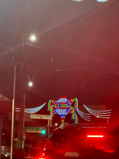 A sideways image shows a night scene featuring a vibrant, colorful, illuminated frog decoration adorning a street pole. The frog has multiple arms and legs with what appear to be comets above and below it. The scene includes street signs and lights. To the right of the frog is a vehicle and what looks like its tail lights. The image is a little blurry and the frog and vehicle are the prominent subjects.