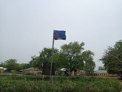 The image shows a blue flag with a white symbol and a green, white, and red stripe flying from a flagpole in front of a brown sign, partially obscured by green bushes, with a partly visible white building in the background, set against a bright, cloudless blue sky. The flagpole is in the foreground, and the sign is slightly behind it. The background features a group of buildings and a large expanse of lush green bushes that extend as far as the eye can see. The scene is located in the city of Rumde Waziri, Nigeria, at coordinates 9.184 latitude and 12.521 longitude. The image was taken on a sunny day, with no people present. The flag appears to be moving in the wind, as if it is in motion. The sign is unreadable, but it is likely a public sign. The image was taken from a low angle, with the focus on the flag. The buildings are in the background, and they are mostly obscured by the bushes. The scene is quiet and peaceful.