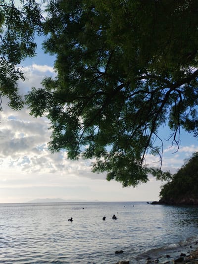 The image depicts a coastal scene in Lamreh, Indonesia. In the foreground, a rocky shoreline transitions into a calm body of water. Several individuals are swimming in the sea, their heads visible above the water's surface. In the distance, landmasses or islands are discernible. Overhanging foliage from a tree frames the upper portion of the scene, with blue sky and clouds visible through the branches. The right side of the image reveals a rocky coastline with dense vegetation.