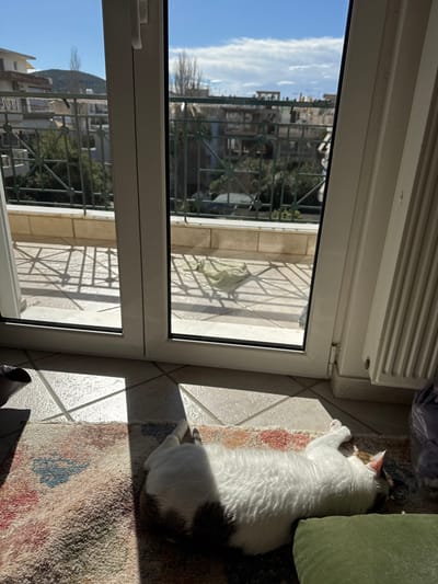 The scene depicts an indoor area with an outward view of an urban or suburban landscape within Anavissos Municipal Unit, Greece. A bicolored cat, predominantly white with dark brown or black patches on its back and tail, lies stretched out on its left side on a multi-colored patterned rug. The cat's head is turned away, facing towards the right. A prominent patch of sunlight illuminates the cat and the rug, originating from a white-framed glass sliding door that constitutes the central feature of the image.

Beyond the glass door, an outdoor balcony with beige-tiled flooring is visible, bathed in direct sunlight which casts strong, geometric shadows from a dark green metal railing. A light green piece of fabric, possibly a towel, rests on the balcony floor. The railing features diagonal decorative elements. In the background, multiple multi-story residential buildings are discernible amidst green foliage, including some bare deciduous trees. A low, treed hill or mountain rises in the distant left. The sky overhead is bright blue with scattered white clouds. To the right of the door, a white vertical radiator is partially visible against an interior wall. A dark green cushion is situated in the lower right foreground.