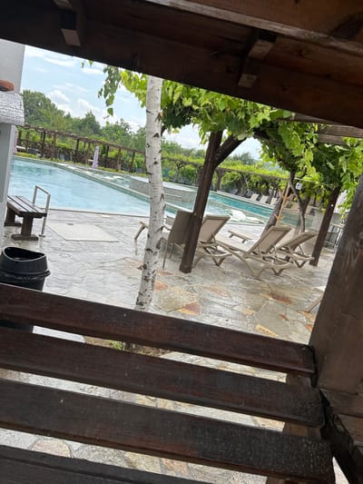 The image depicts an outdoor swimming pool area, framed by wooden structures and lush green foliage, possibly a vineyard, suggesting a resort or a private estate. The scene is set during the daytime, with a bright sky and scattered clouds visible. The weather appears to be warm, as evidenced by the presence of lounge chairs around the pool and the inviting nature of the water.
Several lounge chairs are arranged on a stone patio surrounding the pool, some occupied by light-colored towels. A swimming pool with clear blue water dominates the central part of the view. The poolside is lined with wooden pergolas and fencing, with mature trees and vegetation growing behind them. A thin, white-barked tree trunk is prominent in the foreground, with its branches extending into the frame and dappled with sunlight.
In the foreground, a wooden bench is placed near the pool's edge, accompanied by a black trash can. The overall impression is one of a serene and relaxing environment, designed for leisure and enjoyment. There is no visible text in the image. The provided location context of Krasnovo, Bulgaria, indicates a potential European setting for this idyllic scene.