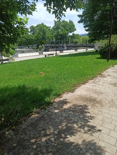 A wide shot shows a park with a paved walkway on the right, a large expanse of green grass in the middle, and a river with a bridge in the background. The walkway is made of light gray rectangular pavers, some of which are stained with a darker gray. Shadows of leaves and branches are cast across the walkway. The grass is vibrant green and well-maintained, with a few scattered dry leaves and some patches of darker soil.

Beyond the grass, there is a white concrete embankment lining a river. A bridge spans the river in the mid-ground. The bridge has several arches and is populated with people walking across it. There are also streetlights and railings visible on the bridge.

In the background, lush green trees form a dense canopy, suggesting a forested or heavily treed area. In the far distance, a hazy outline of hills or mountains can be seen against a bright, slightly overcast sky. Two dark green benches are visible on the embankment, one closer to the foreground and one further back. A single dark pole, possibly a lamppost, stands near the right edge of the image, behind a large, dark green bush.

The scene appears to be a public park in Zavodskoy, Russia, on a sunny day. The overall impression is one of tranquility and natural beauty within an urban setting.