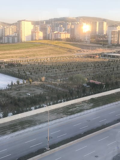 This high-angle outdoor photograph captures an urban landscape in Etimesgut, Turkey, under clear and sunny skies, likely during either sunrise or sunset given the warm, bright light.

In the foreground, a multi-lane asphalt road spans horizontally across the frame. It features white dashed and solid lane markings, yellow lines, and concrete curbs. A narrow concrete median separates the road lanes, sparsely covered with vegetation. A tall, slender streetlight pole with two fixtures stands on this median, next to a small, triangular traffic sign displaying a universal pedestrian crossing symbol. A few indistinct vehicles are visible on the road in the middle distance, indicating light traffic.

Beyond the road lies a large, developing park or green space. Hundreds of young trees, appearing to be a mix of conifers and deciduous types, are planted in orderly rows, with visible bare earth between them. Two small, simple structures with reddish-brown roofs are situated within this green area, possibly sheds or utility buildings.

The background is dominated by a dense cluster of modern, multi-story residential buildings, extending across gentle, grassy hills. These buildings are predominantly light-colored (white, beige, and light gray) with numerous windows. A particularly intense and dazzling reflection of the sun creates a brilliant glare on the windows of one of the central buildings, a striking focal point. The scene depicts a rapidly developing residential area, possibly on the outskirts of a city. No specific human activity is clearly discernible, and no legible text is visible apart from the symbol on the traffic sign.