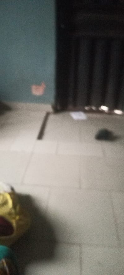 The image appears to be taken indoors, potentially within a residential building or apartment in Awoyaya, Nigeria. The floor is tiled, and the wall is painted a blue-green color. There are dark vertical slats suggesting the presence of curtains or blinds. The image is somewhat blurry, but there is a glimpse of a stuffed animal in the bottom left corner, a dark object possibly made of metal or plastic, some kind of papers or documents scattered on the floor near the curtain or blind. There is something that looks like handprint on the wall. Due to the blurry nature of the image, it is challenging to identify objects precisely. There are no people visible in the frame. The environment appears to be relatively dimly lit.
