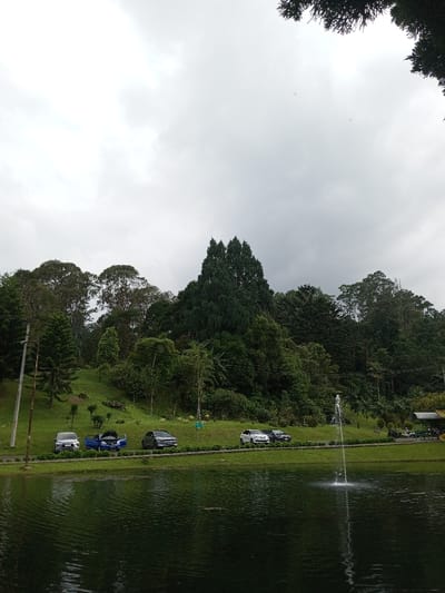 This image captures a park landscape in Ambositra, Madagascar, under a heavily overcast, light grey sky. The foreground is dominated by a dark body of water, consistent with a lake or large pond, featuring a single, active water fountain jet rising near its center-right, with its reflection visible below. A paved road or path runs horizontally behind the water, bordered by a strip of maintained green grass. Along this path, six vehicles are parked: a silver SUV, a blue sedan with its hood open, a dark grey sedan, a white SUV, and two additional dark-colored vehicles positioned further right. A dark utility pole stands on the far left edge of the road. The midground and background consist of a densely forested hillside, showcasing various shades of green foliage and numerous trees. A prominent cluster of tall, slender evergreen trees forms a distinct peak near the center of the hill's crest. Towards the far right, partially obscured by trees, a small shelter-like structure and additional parked motorcycles are visible. No individuals are discernibly present in the scene.