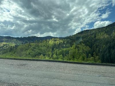 The image presents a scenic mountainous landscape observed from a roadside vantage point, likely near Forbach, Germany. In the foreground, a stretch of gray asphalt road occupies the bottom portion of the frame, displaying typical cracks and textures. A dark curb or low wall runs along the edge of the road, separating it from a narrow band of green grass that immediately precedes the expansive forested hills.
The midground and background are dominated by densely wooded mountains and rolling hills. The forest exhibits a varied tapestry of green hues, with some sections displaying a vibrant, lighter green, indicative of deciduous trees, contrasting with the deeper, darker greens of coniferous trees. Sunlight appears to be breaking through the clouds, illuminating specific parts of the forest, particularly some of the lighter green areas, creating a dynamic interplay of light and shadow across the slopes.
The sky above is largely filled with dramatic, thick gray clouds, suggesting an overcast day with changeable weather. However, distinct patches of bright blue sky are visible, particularly on the upper right side of the frame and a smaller opening on the upper left, indicating breaks in the cloud cover. The overall impression is one of natural grandeur and a serene, possibly slightly rugged, environment. There are no people, explicit activities, or visible text present in the image. The scene captures the essence of a forested mountain landscape under a compelling sky during daytime.