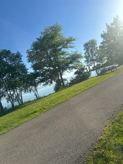 The image shows a paved pathway in a park in Dorval, Canada, with a view of a body of water and trees on a sunny day. The pathway occupies the foreground and diagonally bisects the image from the bottom right to the upper left. To the left of the pathway is a grassy slope leading down to the water. Several trees with green foliage are visible along the edge of the grass, some of them leaning towards the water. The water appears calm and reflects the blue sky. In the background, on the right side of the image, a picnic table is visible on the grass. The sky is clear and bright blue with the sun casting a slight glare in the upper right corner.