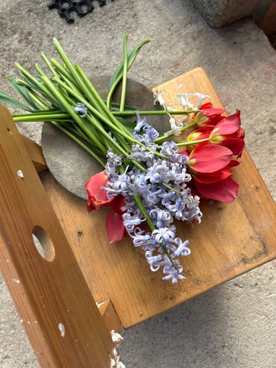 A small bouquet of flowers rests on a wooden stool. The bouquet contains red tulips, white flowers, and light blue hyacinths. The flowers' stems are bundled together and arranged on a gray stone. The stool is weathered with a hole visible in one of the legs. The surface beneath the stool appears to be concrete. No people are visible. The location is not discernible as being in Pishtigovo, Bulgaria, from the image alone.