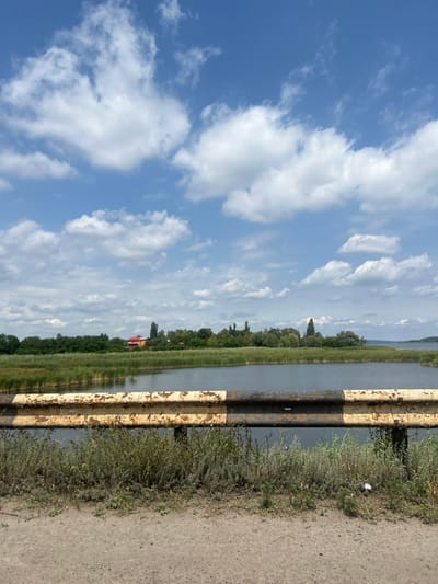 The image depicts a rural landscape in Staryi Saltiv, Ukraine, captured on a clear day with scattered clouds. In the immediate foreground, a dirt or gravel road surface transitions to a strip of sparse, dry-looking weeds and grass. Above this, a metal guardrail spans horizontally across the lower quarter of the frame, exhibiting significant rust and peeling paint in alternating faded yellow and black sections.
Beyond the guardrail lies a calm body of dark water, likely part of the Pechenihy Reservoir, which is bordered by a dense band of tall, green marsh reeds or grasses. In the midground, behind the reeds, a line of mature green trees forms a natural barrier, with a small building featuring a reddish-orange roof partially visible amidst the foliage on the left. The water extends into the distant right, meeting a faint, vegetated shoreline. The sky, occupying the upper two-thirds of the image, is a vibrant blue dotted with numerous white, puffy cumulus clouds of varying sizes. No individuals, animals, or specific actions are discernible within the scene.
