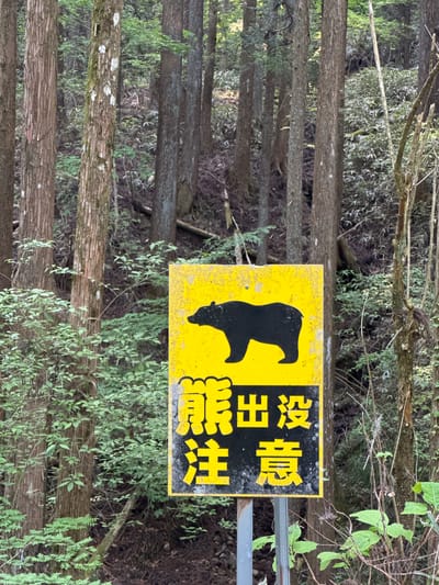 A warning sign in a forest near Nakatsugawa, Japan, depicts a black bear silhouette on a yellow background, accompanied by Japanese text. The sign is mounted on a post amidst a dense grove of trees.