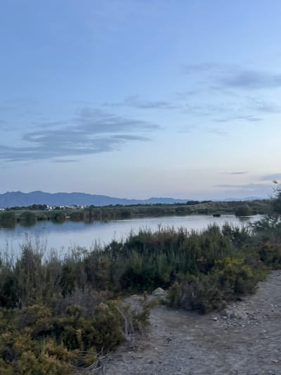 The image depicts a serene natural landscape at dusk, likely in the outskirts of Vera, Spain, given the characteristic arid vegetation and the presence of distant mountains that are consistent with the region's geography. The foreground is dominated by a dirt path and dense, low-lying scrub brush and reeds, typical of Mediterranean coastal or semi-arid environments. Beyond this, a calm body of water reflects the soft hues of the sky. In the middle ground, a strip of taller reeds and trees lines the far bank of the water. In the background, rolling hills and a range of mountains form a distant horizon, with a cluster of buildings visible nestled at their base, suggesting a small settlement or rural development. The sky above is a pale blue, with wispy clouds illuminated by the fading light, indicating the transition from day to night. There are no people or animals clearly visible in the image. The overall impression is one of tranquility and natural beauty.