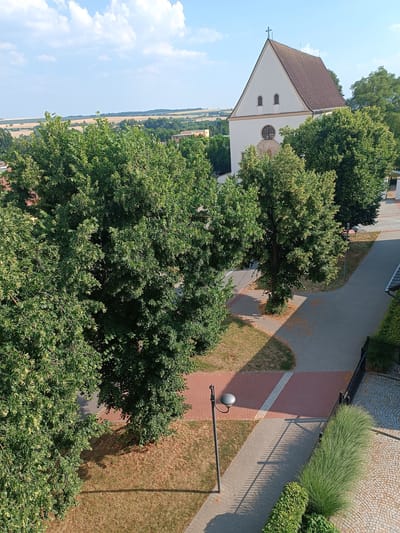 This is an outdoor, high-angle, eye-level shot of a street scene in the city of Vyškov, Czechia. The image features a white, gabled church with a brown tiled roof, a tall steeple, and two small oval windows above a round window with stained glass. In front of the church and to the left, there are several large, lush green trees. A paved walkway, composed of light gray interlocking pavers, winds through the scene, bordered by dry, brown grass and patches of red brick pavers. A single black lamppost with a grey lamp stands near the walkway. Beyond the church, a rolling landscape with fields of yellow and green is visible under a bright blue sky with scattered white clouds. A black metal fence and a long, feathery green ornamental grass plant are positioned along the right side of the walkway.
