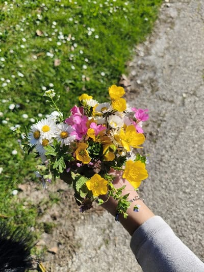 A human hand, covered by a light grey long-sleeved garment and adorned with a bracelet featuring a blue bead, holds a bouquet of wildflowers. The bouquet consists of a mix of yellow (primarily buttercups), white (daisies), and pink blossoms, interspersed with green foliage. The scene is outdoors in Riccione, Italy. The background is diagonally divided: the upper left shows a blurred patch of green grass dotted with numerous small white flowers, while the lower right displays a grey, coarse-textured paved surface, likely a pathway. Bright sunlight illuminates the subject and environment, casting a dark, irregular shadow in the lower left portion of the image.
