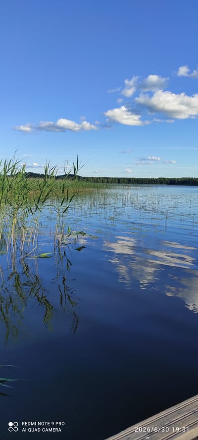 A wide shot captures a serene lake in Joutsa, Finland, under a clear blue sky dotted with fluffy white clouds. The foreground is dominated by tall, green reeds that grow from the water's edge, their reflections shimmering on the dark, calm surface. Beyond the reeds, the lake stretches out, with a dense forest lining the horizon. The water is a deep blue, reflecting the sky and clouds, creating a sense of depth and tranquility. The image is composed from a low angle, possibly from a dock or the edge of the water, giving the viewer a sense of being immersed in the natural landscape. The overall impression is one of peace and natural beauty.