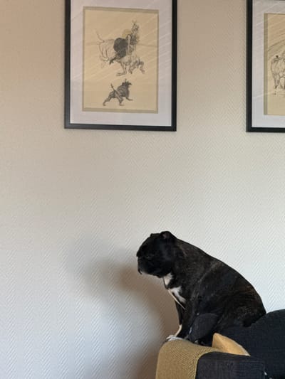 The image displays an indoor scene, likely within a home in Strömstad, Sweden. A dark-colored dog, with brindle fur and white markings on its chest and paws, is seen resting or sleeping on a piece of furniture. The dog is positioned with its head hanging down towards a light-colored wall, partially draped over the edge of what appears to be a dark-colored armchair or dog bed, which also features a beige, woven section. The wall behind the dog and the framed artworks has a subtle, light-toned herringbone pattern.
Two framed pictures are visible on the wall, both featuring monochrome line drawings or sketches. The lower frame, which is more clearly visible, depicts several figures, including what looks like a person riding an animal, possibly a horse, and another smaller figure in a dynamic pose. The frames themselves are black. The overall impression is one of a domestic setting, with the dog appearing deeply relaxed or asleep in an unconventional posture. No text is visible within the image.