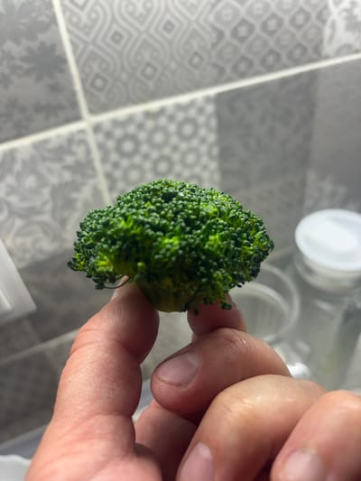 In Pereiaslav, Ukraine, a close-up shot focuses on a person's hand holding a small floret of broccoli. The broccoli, vibrant green, displays its characteristic tightly packed florets. The hand, with visible skin texture and fingernails, appears to be gently supporting the vegetable. In the blurred background, a tiled wall with a subtle grey pattern and what seems to be glassware suggest an indoor setting, possibly a kitchen.