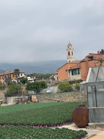 This image depicts a partial view of Albenga, Italy, taken from an elevated position. The most prominent feature is a church tower with a rounded dome, situated amidst other buildings. The buildings are various shades of orange and white. A mountain is visible in the background. The foreground includes a green wall of plants with pink flower pots. A large brown container or pot sits nearby. A greenhouse-style structure is also visible. The sky is overcast.