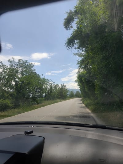 View from inside a car driving on a paved road lined with trees, located near Jeleznitsa, Bulgaria. The sky is partly cloudy. No people are visible. The road appears to be heading uphill.