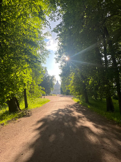 A sun-drenched dirt path lined with lush green trees leads towards a grand white building with a blue dome in the distance. The sun's rays pierce through the leaves, casting dappled shadows on the path. The path is wide and appears to be in a park or garden. The building in the background resembles a palace or a large ornate structure, likely a historical landmark. The environment is serene and bathed in natural light. This scene is consistent with the grounds of the Oranienbaum palace complex in Lomonosov, Russia, specifically the path leading towards the Chinese Palace. There are no people or animals visible in the image.