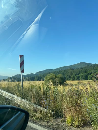 The image depicts a scenic view from a vehicle traveling through a rural area, possibly near Sarantsi, Bulgaria. The foreground shows the edge of a road with a white line, and a portion of a car's side mirror. To the left of the road is a white and red striped marker post, likely a warning sign. Beyond the road, there's a field of tall, dry grass interspersed with scattered blue wildflowers. In the background, rolling green hills covered in dense forest stretch across the horizon under a clear blue sky. The sunlight suggests it is daytime, likely during the warmer months. The overall impression is one of natural beauty and open space.
