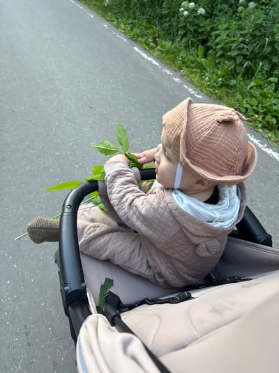 A child wearing a pink quilted outfit and a matching hat sits in a stroller. The child is holding green leaves. The stroller is on a paved road with a green, grassy verge to the right. The scene appears to be outdoors in a rural or suburban setting, possibly in Shevlyagino, Russia. The lighting suggests it is daytime.