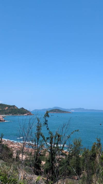 The image displays a coastal landscape in Tuy Phong 4, Vietnam, under a clear, unblemished light blue sky that occupies the upper half of the frame. An expansive body of calm, blue-green water fills the central portion, dotted with numerous small, dark-hulled fishing boats scattered across its surface. To the left, a rugged coastline features reddish-brown rock formations meeting the water, backed by a prominent, tree-covered hill with visible patches of reddish-brown earth; a small sandy beach is discernible at its base. In the mid-distance, multiple islands emerge from the water, the most distinct being a green, tree-covered landmass slightly right of center. Faint, hazy blue outlines of distant mountains or larger landmasses are visible on the far horizon. The immediate foreground is characterized by dense, unkempt vegetation, including several tall, slender trees with mostly bare branches and numerous darker green, pine-like trees, partially obscuring the lower edge of the coastline and sea. The ground beneath this foreground vegetation is dry, uneven, and covered with sparse grasses and rocks. No individuals or overt actions are discernible.
