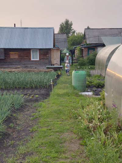In Новосёлово, Russia, an elderly person and a child walk through a garden. The scene depicts a rural setting with several wooden houses, some with corrugated metal roofs. In the foreground, neat rows of green onions and other low-lying plants are growing in dark soil. A bright green plastic water barrel stands to the right of the path. Further back, two large, translucent greenhouse structures are visible, their curved surfaces reflecting the soft light of what appears to be dusk. The sky is overcast with a hazy, pale pink hue. The overall impression is one of a functional, well-tended garden and homestead.