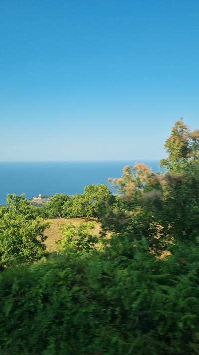 A panoramic view of the Aegean Sea unfolds under a clear blue sky, seen from a vantage point overlooking Palaios Panteleimonas, Greece. The turquoise water stretches to the horizon, meeting the sky in a sharp, unbroken line. In the middle distance, a small stone structure, possibly a lighthouse or a historical building, is perched on a promontory. The foreground is dominated by lush green foliage, with trees in various shades of green and some with soft, pinkish-brown plumes, suggesting late spring or early summer. The land slopes down towards the sea, with patches of dry, yellow-brown grass visible between the trees, indicating a warm, sunny climate. The image captures a serene and picturesque landscape, highlighting the natural beauty of the Greek coastline.