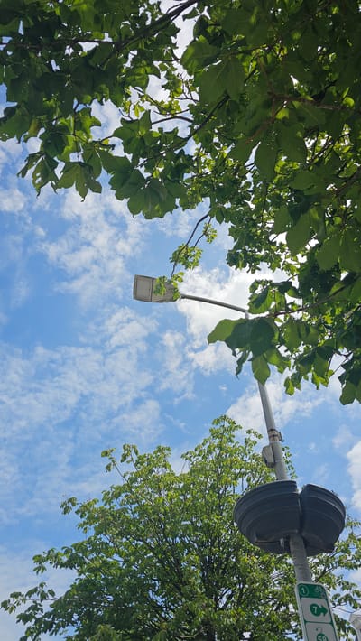 The image captures a streetlamp against a bright blue sky dotted with white clouds, viewed from below through the lush green leaves of a tree. The streetlamp, a modern rectangular design with a metal pole, is positioned slightly off-center to the right. At the base of the pole, a dark, circular, textured object is attached, possibly a speaker or a housing for equipment. Below this, a green and white sign is partially visible, indicating a route or traffic regulation. Another tree with abundant green foliage is visible in the lower left quadrant of the image, with its branches reaching upwards. The overall scene is bathed in natural light, suggesting daytime. The presence of the streetlamp and signs implies an urban or suburban setting, likely a street or park area. The architecture visible at the very bottom right edge, with light-colored stonework, further supports this interpretation and could potentially place the scene within the city of Philippeville, Belgium, given the context.