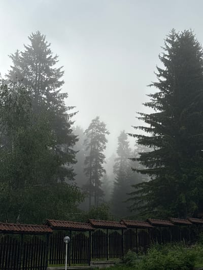 In Yundola, Bulgaria, this image captures a dense forest shrouded in fog. Tall evergreen trees dominate the scene, their dark green needles creating a stark contrast against the pale, misty sky. To the left, a cluster of deciduous trees with lighter green foliage partially obscures the evergreens. A dark wooden fence, topped with a tiled roof, runs along the foreground, suggesting a boundary or property line. A solitary modern lamppost stands near the fence, its spherical head a subtle detail against the natural backdrop. The overall atmosphere is somber and serene, with the fog lending a sense of mystery and depth to the woodland.