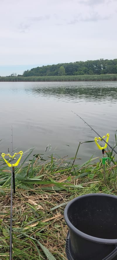 The image depicts a tranquil fishing scene beside a body of water, likely a lake or pond, with a dense treeline forming the horizon. In the foreground, two fishing rods are set up on the grassy bank. One rod, positioned on the left, is secured in a bright yellow rod holder, while the second rod on the right is also held by a similar yellow holder, this one attached to a green stake. Both rods have fishing lines extending into the water. A dark, cylindrical bucket sits to the right of the frame, partially obscuring the base of the right fishing rod. The water is calm, reflecting the overcast sky and the vegetation along the far bank. The environment suggests a natural setting, possibly a rural area or park. The specific location in the city of Staromyshastovskaya, Russia, is not visually discernible from the image itself.