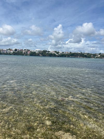 The image shows a coastal scene in Le Gosier, Guadeloupe, France. A body of water, possibly a shallow lagoon or bay, occupies most of the frame, with clear, slightly rippled water revealing a sandy bottom and some submerged vegetation. Along the shoreline, there are buildings and houses clustered together, backed by lush green trees and vegetation. The sky is partially cloudy with patches of blue visible through the clouds.
