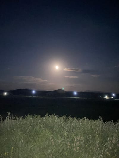 This media file captures a nighttime scene in Kara-Oi, Kyrgyzstan, featuring a bright full moon illuminating a sky with wispy clouds. The moonlight creates a soft glow, with some clouds appearing tinged with orange or yellow, possibly reflecting the moonlight or distant light sources.
In the background, a dark, silhouetted landscape suggests hills or mountains. Scattered lights are visible along what appears to be a road or settlement in the distance, possibly indicating a small town or isolated dwellings. These lights appear as bright points, with one more prominent light source in the upper right corner of the image that seems to be a building light.
To the right of the frame, a dense, green bush or tree dominates the foreground. Its leaves and branches are detailed, with small yellow flowers or buds visible, suggesting it is a flowering shrub. The contrast between the dark sky and the illuminated foliage is striking.
The overall mood is serene and peaceful, typical of a clear night with a full moon. The time of day is clearly night, with the moon being the primary light source. The presence of lights in the distance provides context about human habitation in the area. There is no visible text in the image.